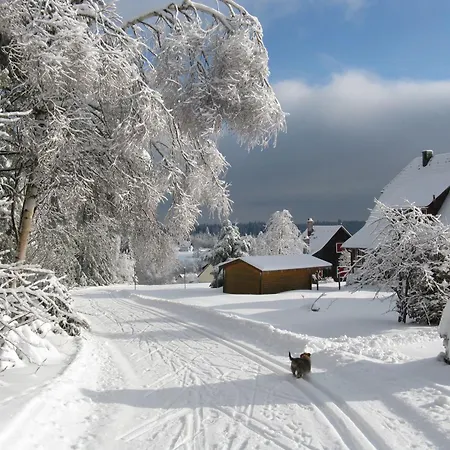 Seiler Apartamento Freudenstadt