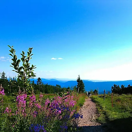 Apartamento Seiler Freudenstadt