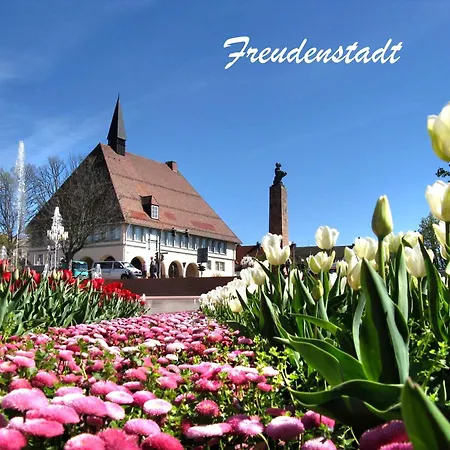 Ferienwohnung, 75qm Apartment Freudenstadt
