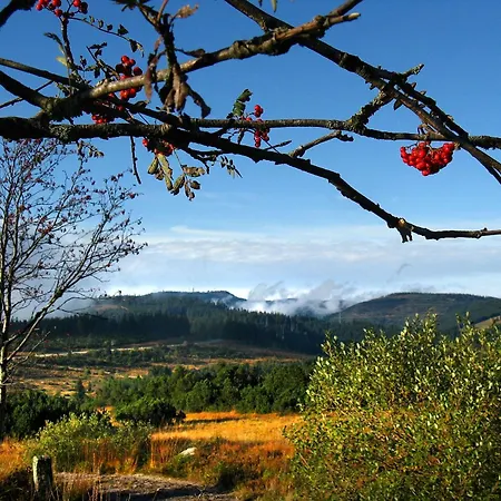 Apartamento Seiler *